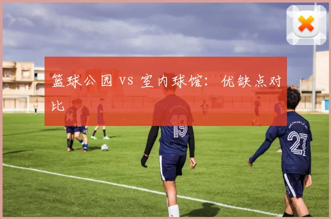 篮球公园 vs 室内球馆：优缺点对比