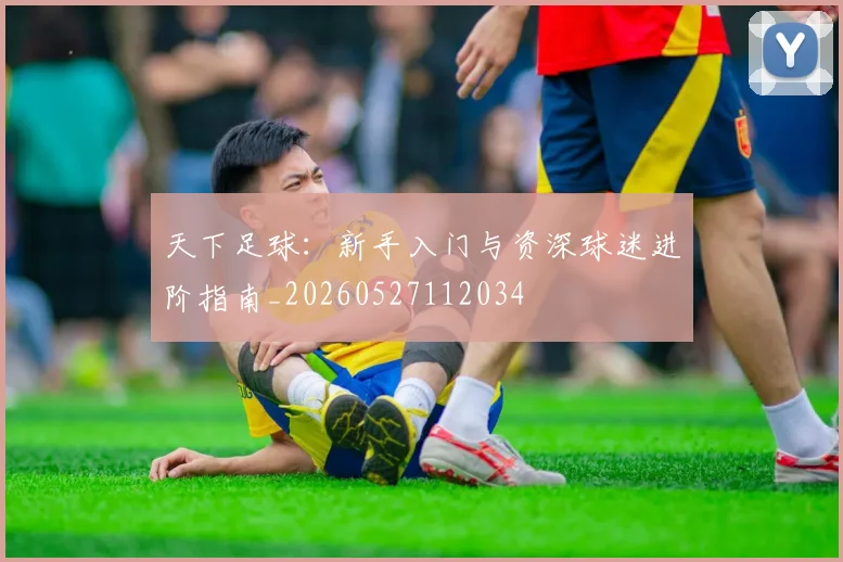 天下足球：新手入门与资深球迷进阶指南_20260527112034