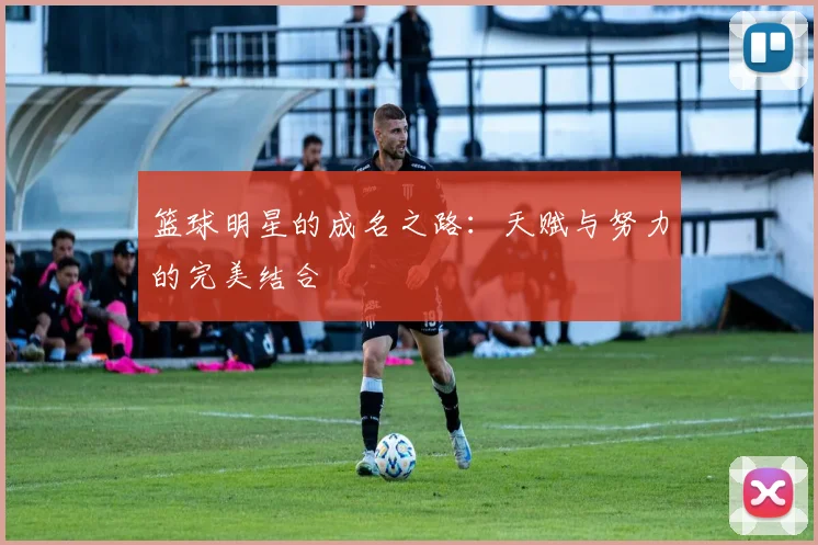 篮球明星的成名之路:天赋与努力的完美结合