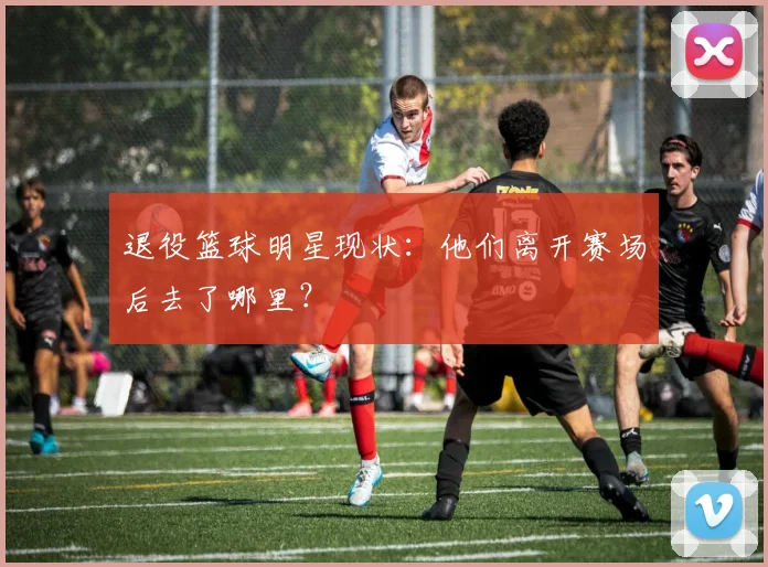 退役篮球明星现状:他们离开赛场后去了哪里?